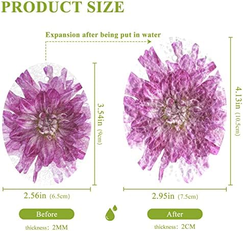 pnyoin סגול צבעוני דליה פרחים ספוגי ניקוי, 3 חבילות ללא מגרש ספוגי שטיפת כלים דו צדדית למשק בית וחדר אמבטיה