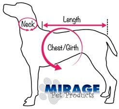 מוצרי חיות מחמד של מיראז '3/8 צווארון כלבים ניילון משובץ עם אבזם קלאסי, גודל 10, אדום